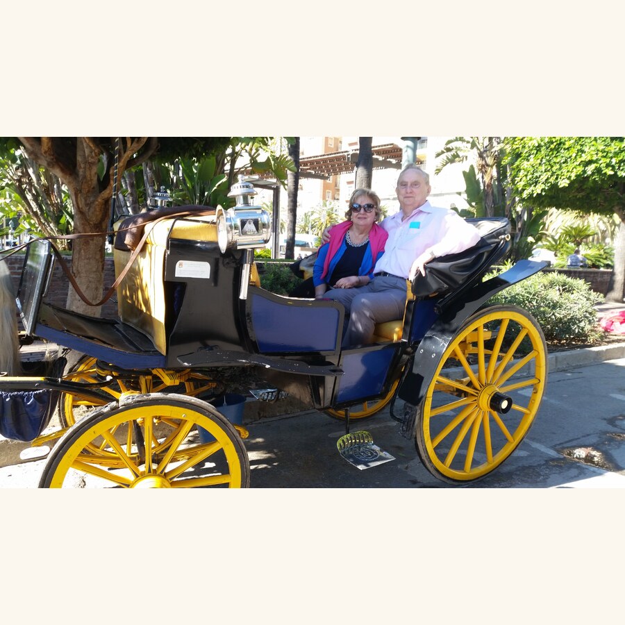 פרח 12